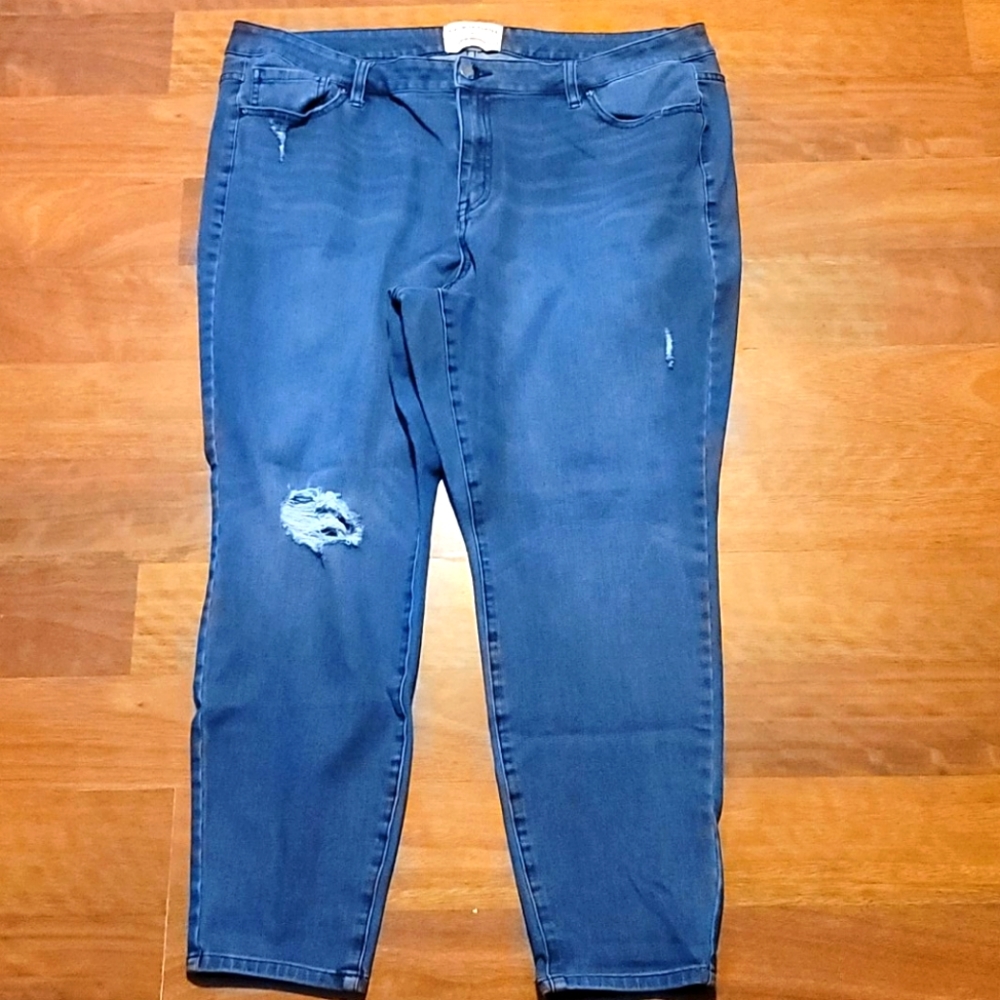 Lane Bryant skinny jeans